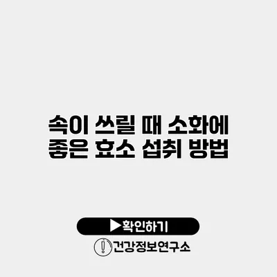 속이 쓰릴 때 소화에 좋은 효소 섭취 방법