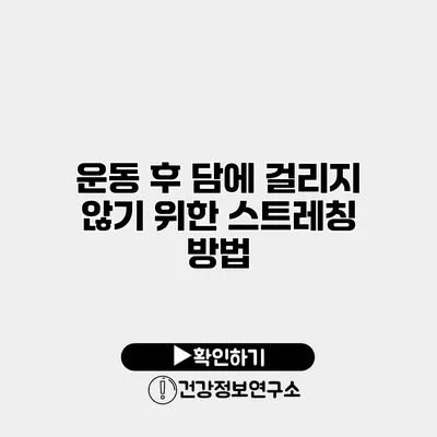 운동 후 담에 걸리지 않기 위한 스트레칭 방법