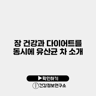 장 건강과 다이어트를 동시에 유산균 차 소개