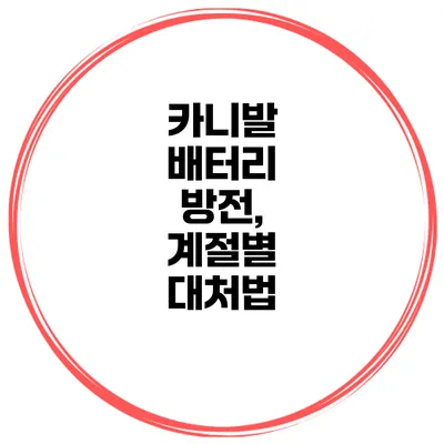 카니발 배터리 방전, 계절별 대처법