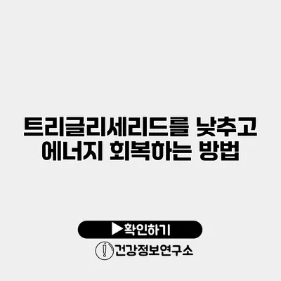 트리글리세리드를 낮추고 에너지 회복하는 방법