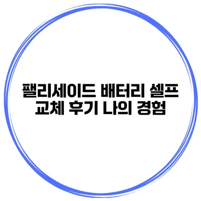 팰리세이드 배터리 셀프 교체 후기 나의 경험